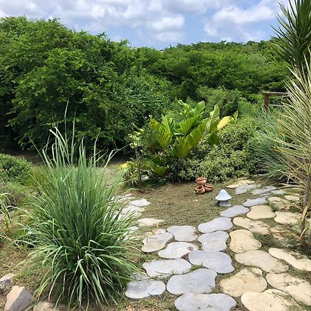 Flambloyant Villa Sainte-Luce Dış mekan fotoğraf
